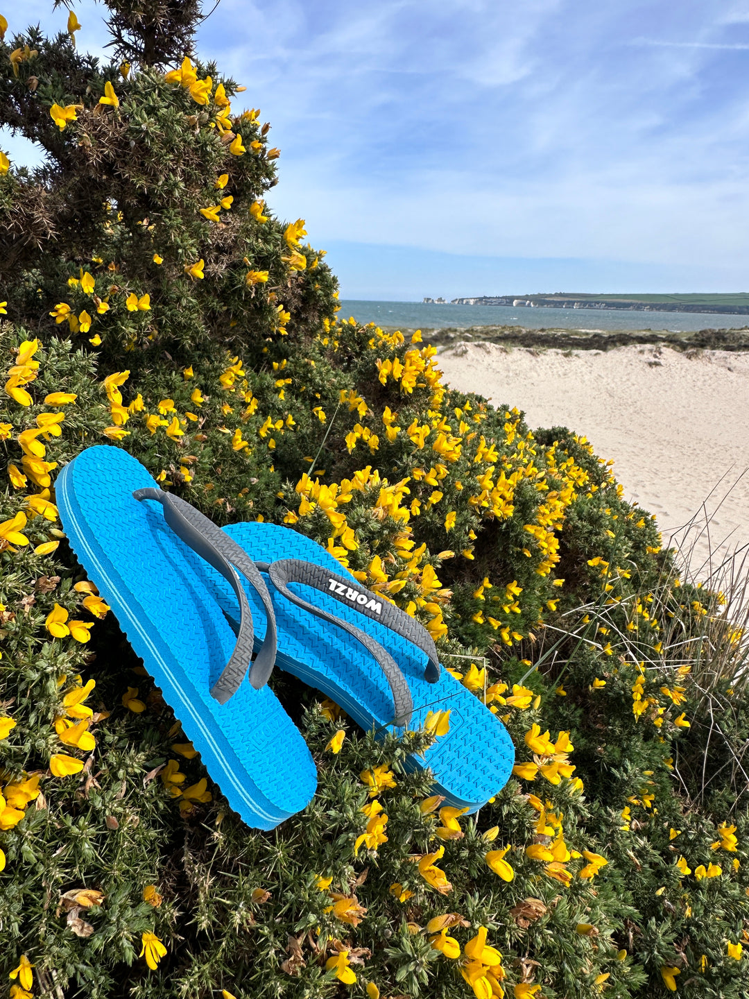 blue worzl flip flops resting on a yellow bush by the beach