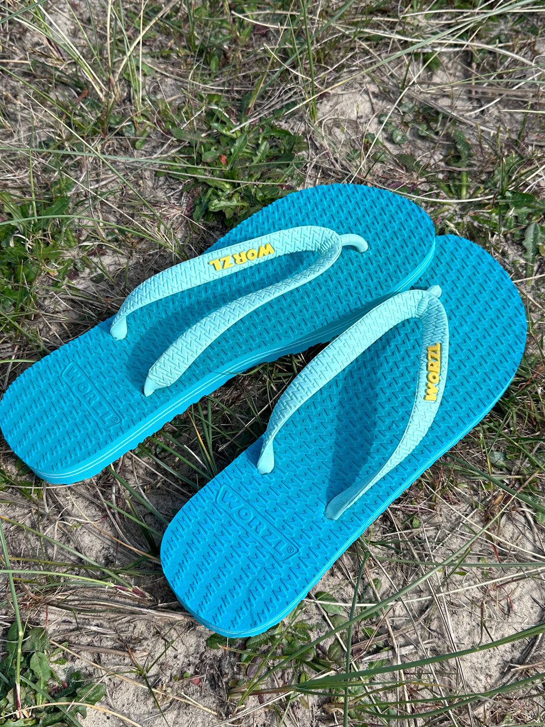 The Teal Collection